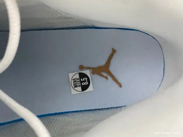 Reps LUCY 13 Jordan 414571-171 Wheat Air 0422